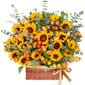 毕业季典礼精品鲜花向日葵新款花束包邮促销男士生日鲜花北京闪送