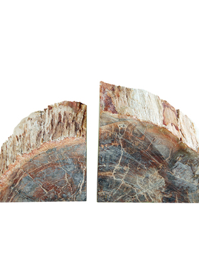 现代新中式风天然样板书房树化石