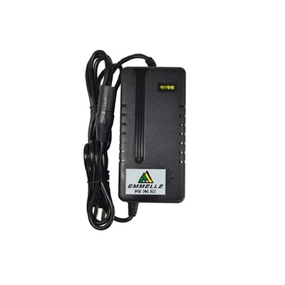 原装正品阿米尼48V2A锂电卡侬头