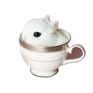 兔粮20除臭幼兔粮 10荷兰猪豚鼠粮防病成兔粮5斤装混合兔饲料包邮