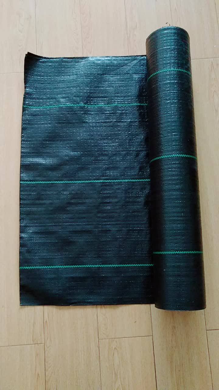 Pp Black Plastic Mulch Anti Grass Cloth Weed Mat Rolls Weed Control