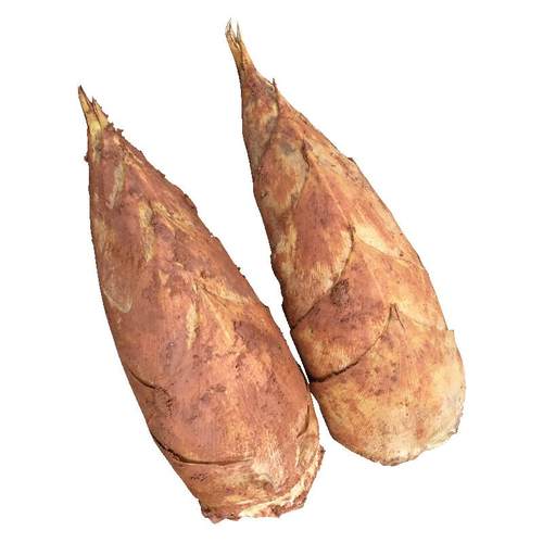 新鲜冬笋竹笋鲜竹笋现挖天然5斤装农家新鲜蔬果现挖笋春笋去老根