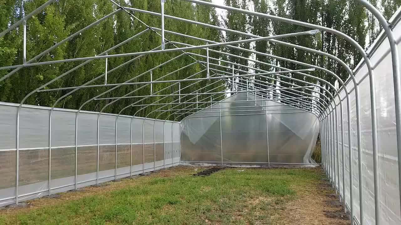 Agricultural High Tunnel Greenhouse For Sale Buy Greenhouse For Sale