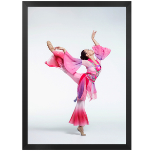 舞蹈教室装饰挂画肚皮舞性感美女墙画培训班壁画学校排练厅相框画