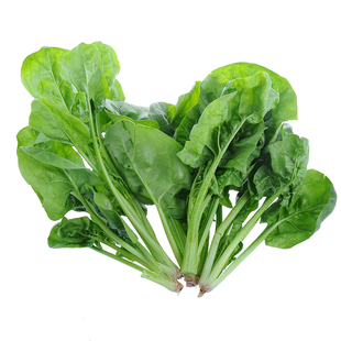 密云农家菠菜 小嫩叶菠菜新鲜蔬菜榨汁宝宝辅食鲜嫩菠菜 300g