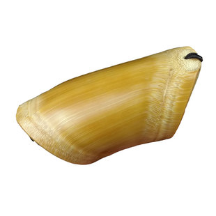 实心玉竹手把件竹料打磨把玩竹雕文玩竹子手把件玉竹节吊坠挂件