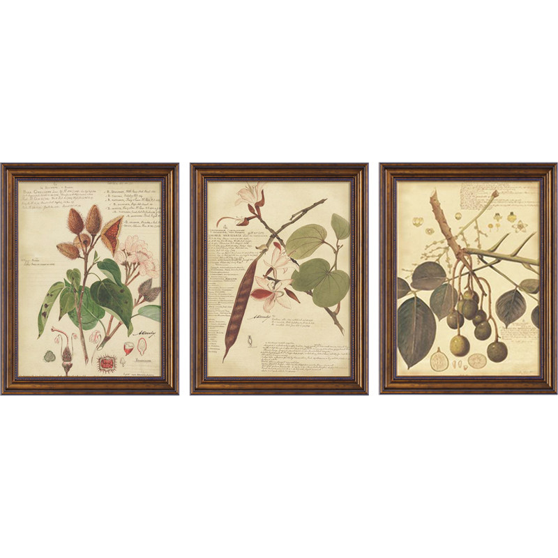 客厅挂画现代简约装饰画美式壁画沙发背景墙画简美有框画古典植物