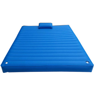 桑拿酒店情趣水床洗浴水疗床充水充气水床垫恒温单双人成人床加厚