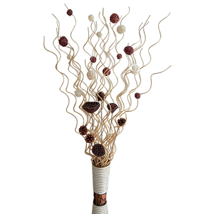 新款曲柳龙柳干枝树枝装饰 客厅落地玄关隔断橱窗干枝装饰花干花