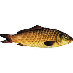 魔术天下 Appearing Fish 牌盒出鱼 钓大鱼 空杆钓鱼 舞台道具