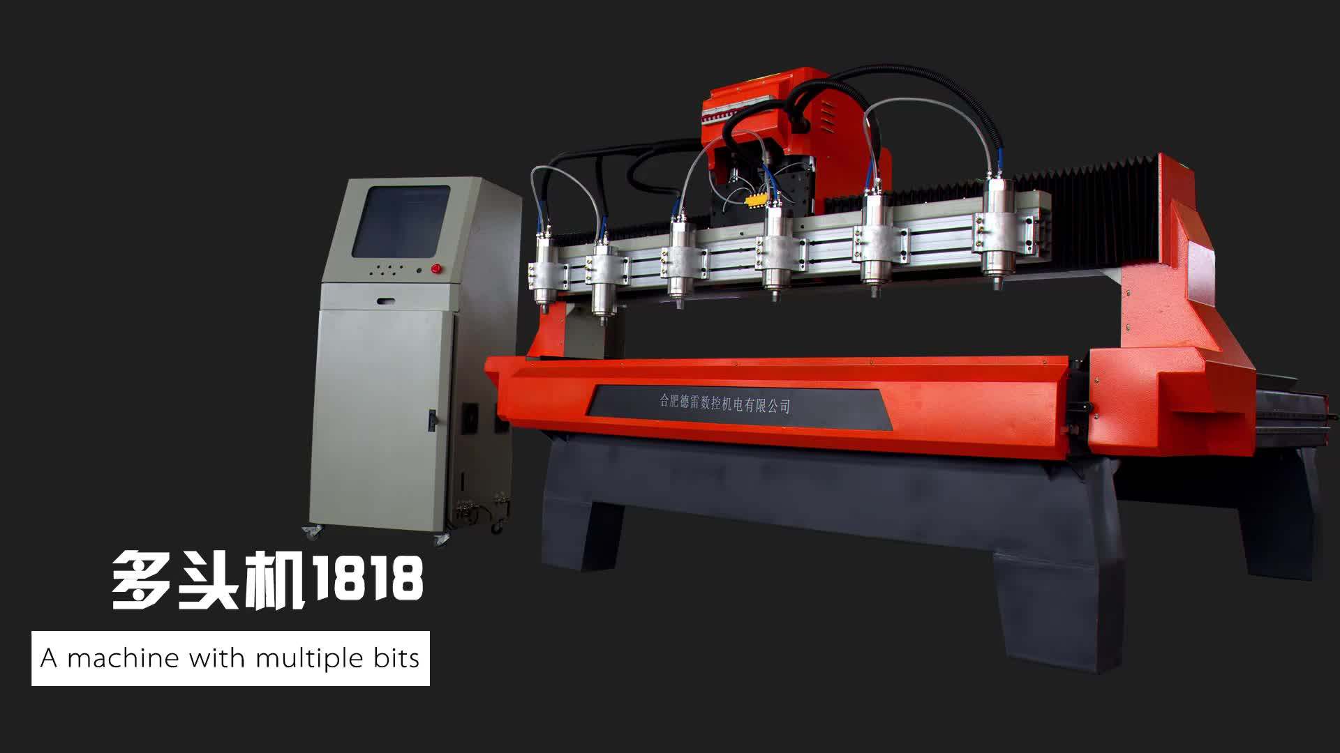 Dl2025 Double Zaxis 8 Spindle Multi Head Cnc Milling/engraving