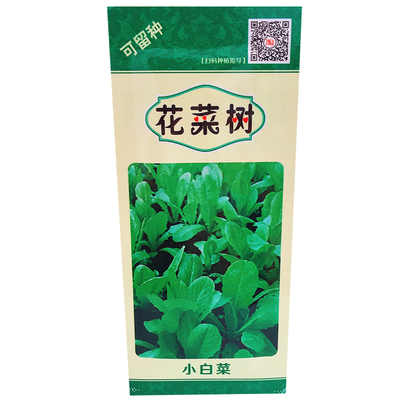 四季小快菜白菜非转基因种子室内阳台盆栽植物蔬菜苗农家青菜籽苗