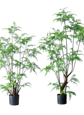 ins北欧风格仿真植物盆栽装饰富贵蕨大型盆景龟背竹假树装饰