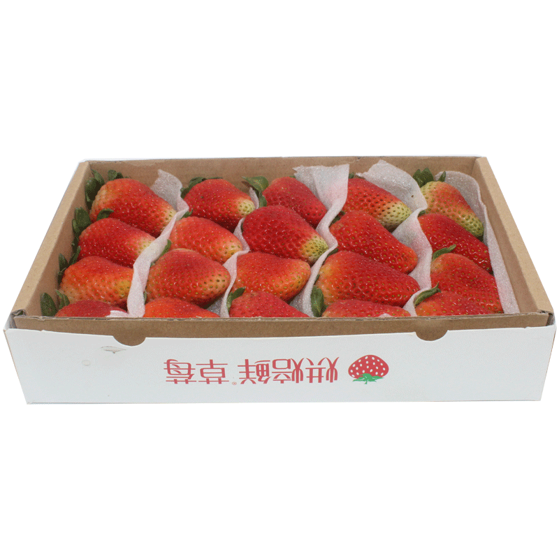 新鲜食用水果草莓 蛋糕装饰 烘焙用草莓酸甜20元/盒同城约20粒/盒