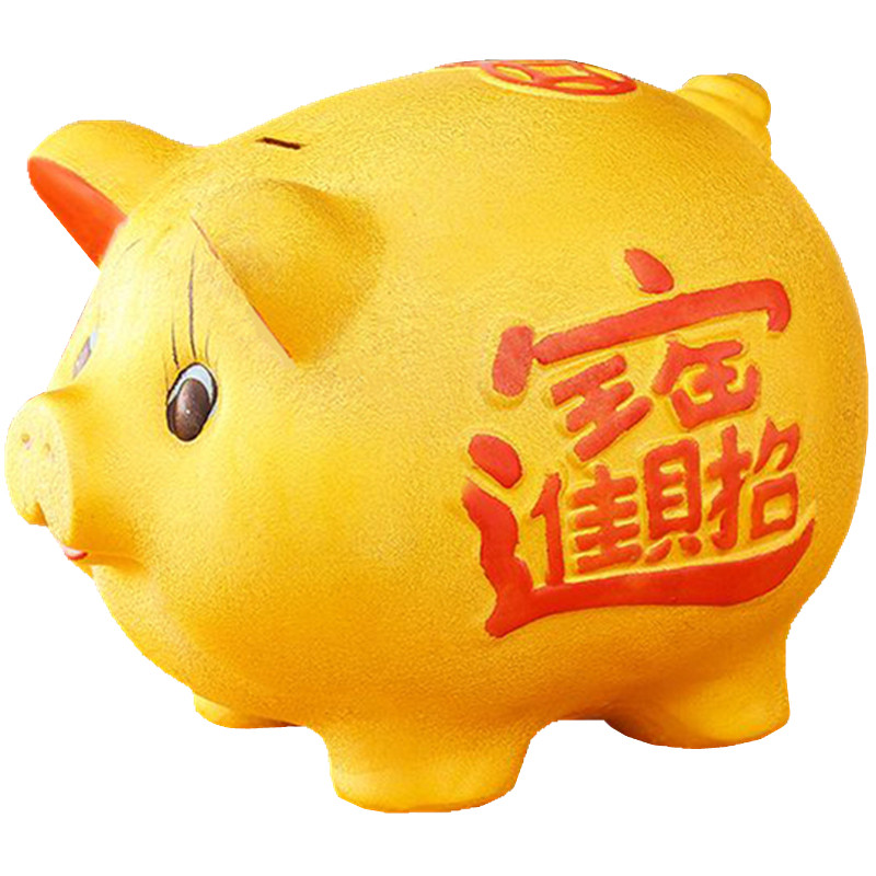 西藏新疆包邮过年饰品摆件存钱罐储蓄罐不可取只进不出大人用创意