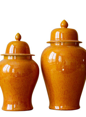 玄关收纳摆件景德镇将军罐鲜花瓶