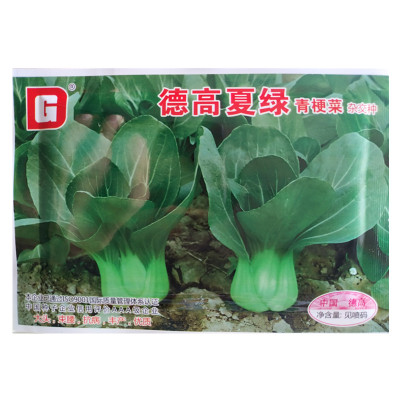 德高 夏绿青梗菜种子 杂交青菜上海青耐热良种春夏秋冬季蔬菜种孑