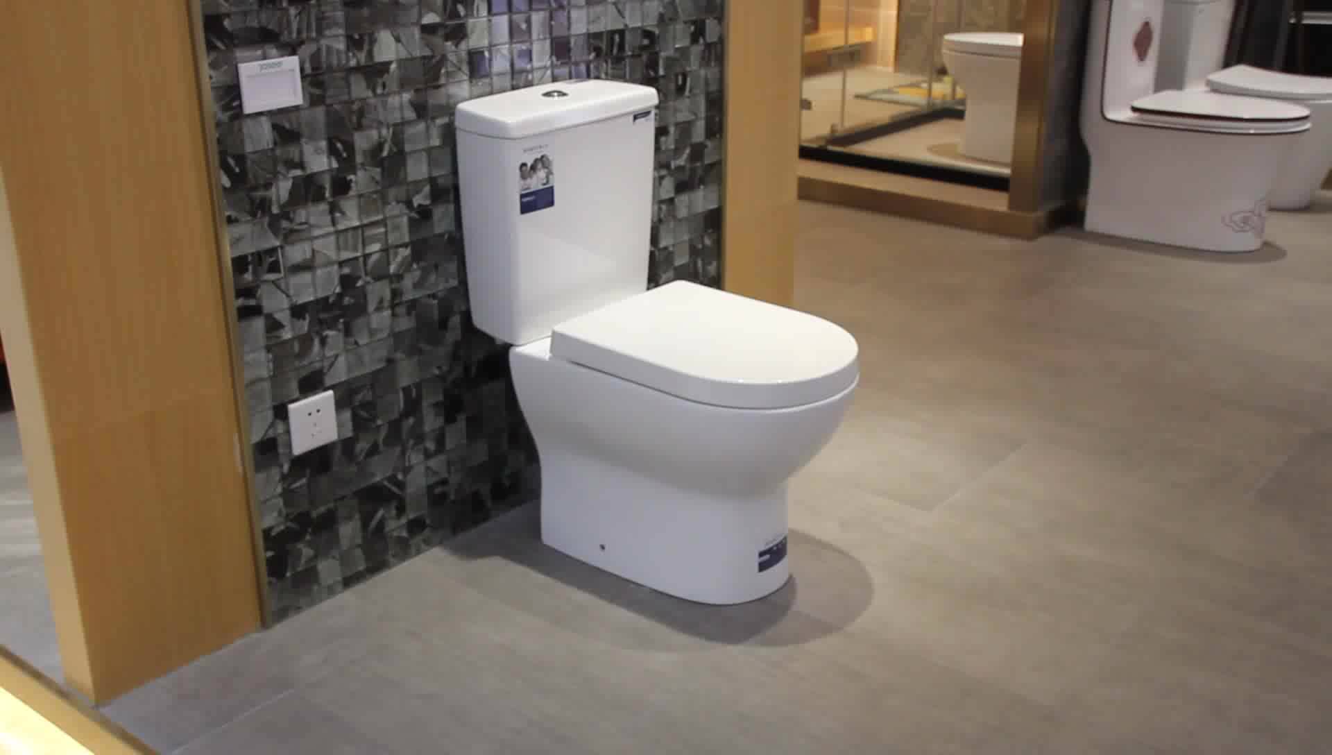 Conjoined Dual Flush Two Piece Toilet,Unique Toilets,Custom Toilets Buy Unique Toilets,Toilet
