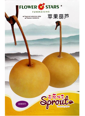 苹果圆葫芦蝈蝈天鹅可食用种子
