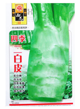 四季青皮春夏秋冬果蔬莴笋种子