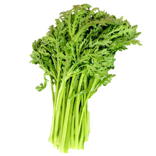 皇帝菜种籽小叶茼蒿菜种种子光杆蓬蒿菜菊花四季阳台盆栽蔬菜孑