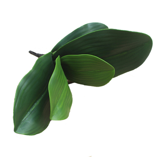 仿真PU手感蝴蝶兰叶子 兰花插花配草绿植装饰 叶子绿色植物假叶