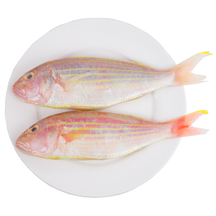 金线鱼新鲜金丝鱼海南文昌金陵鱼清澜印象3斤包邮冷冻海鲜红衫鱼