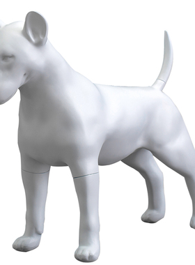 拍摄道具哑光可拆卸模特创意摆件