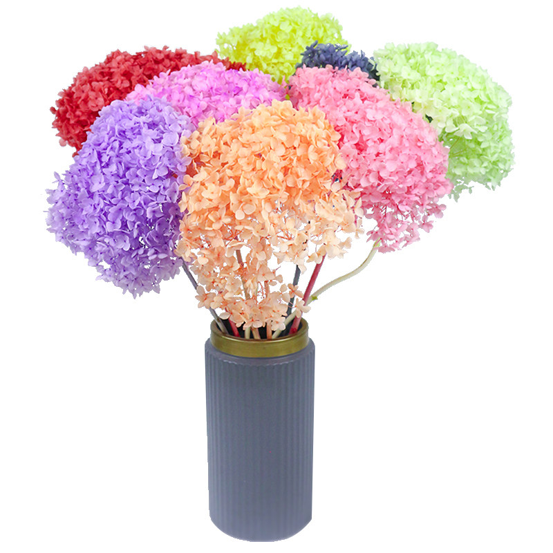 绣球干花永生花天然真花装饰摆设