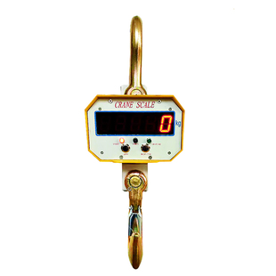 杭州诺亚电子吊秤3吨/5吨吊钩秤10T直视吊秤挂钩称5吨高精度