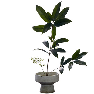 玩物志日式禅意花瓶茶道摆件小原流教学插花花器粗陶高足手工花盆