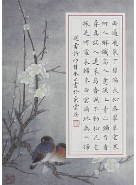 紫云庄a4硬笔书法比赛竖式专用纸