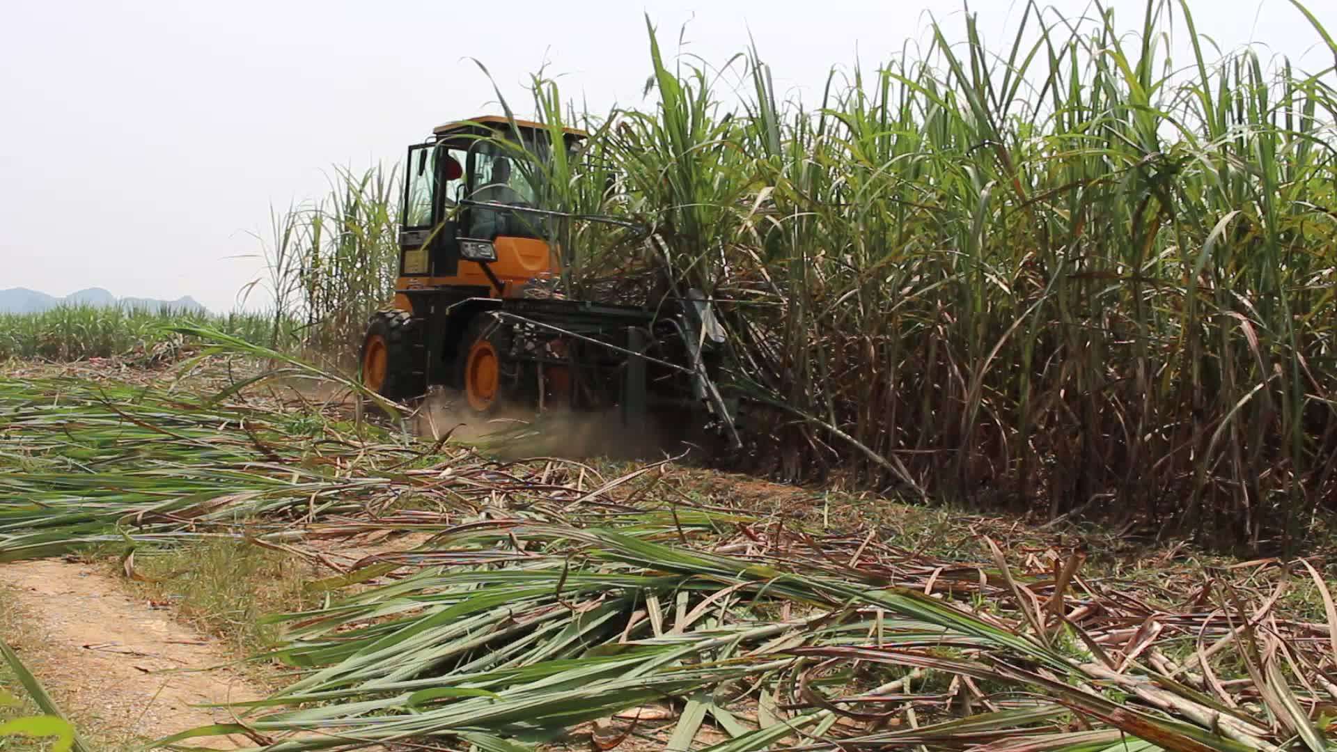 Fullautomatic Sugar Cane Harvester /sugarcane Cutting Machine Sale In