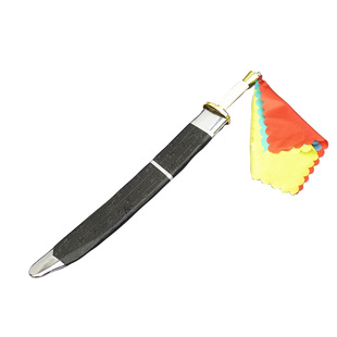 正品龙中龙儿童表演刀中华武术刀软刀晨练太极软刀响刀花刀未开刃