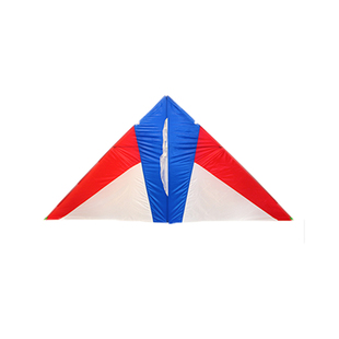 潍坊正品王侉子1平伞布碳杆三角微风易飞特大高档新款成人初学者