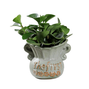 壁挂花盆陶瓷欧式绿萝水培大墙壁装饰创意阳台复古免打孔多肉花器