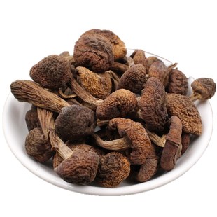 2024年长白山榛蘑东北纯野生蘑菇干货500g新鲜礼盒非特级香菇花菇