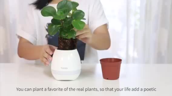 plant bluetooth speaker