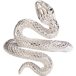 S999足银蛇形潮人个性食指夸张戒指女小众设计高级感本命年纯银