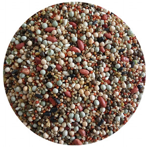 A级营养无玉米幼鸽粮赛飞信鸽鸟食肉鸽子饲料豌豆高粱小麦5斤包邮