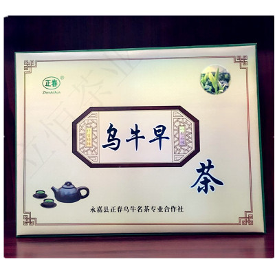 2026新茶明前茶温州永嘉