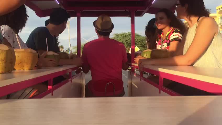 pedal pub bike for sale