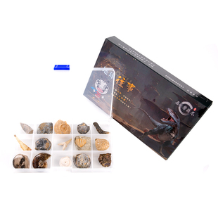 古生物化石标本盒DK宝石圣典岩石与宝石百科全书图鉴三叶虫菊石