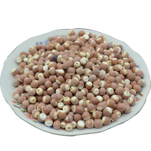 新货芡实 红皮芡实米 鸡头米干货500g 配薏米山药