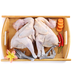 正宗未打鸣童子鸡 农家散养小公鸡 仔鸡 土鸡 公鸡活鸡现杀土鸡肉