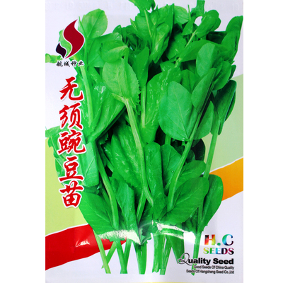 【西洋菜种子】豌豆苗抗病抗逆