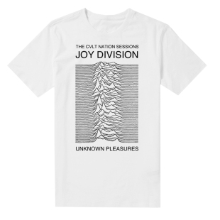 快乐分裂Joy Division乐队摇滚短袖T恤鲨鱼图朋克Ian Curtis