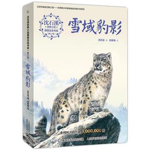 【2件32元】沈石溪动物小说感悟生命书系(修订版)雪域豹影 经典文学9-15岁儿童中小学生课外阅读长篇小说故事书籍获奖图书