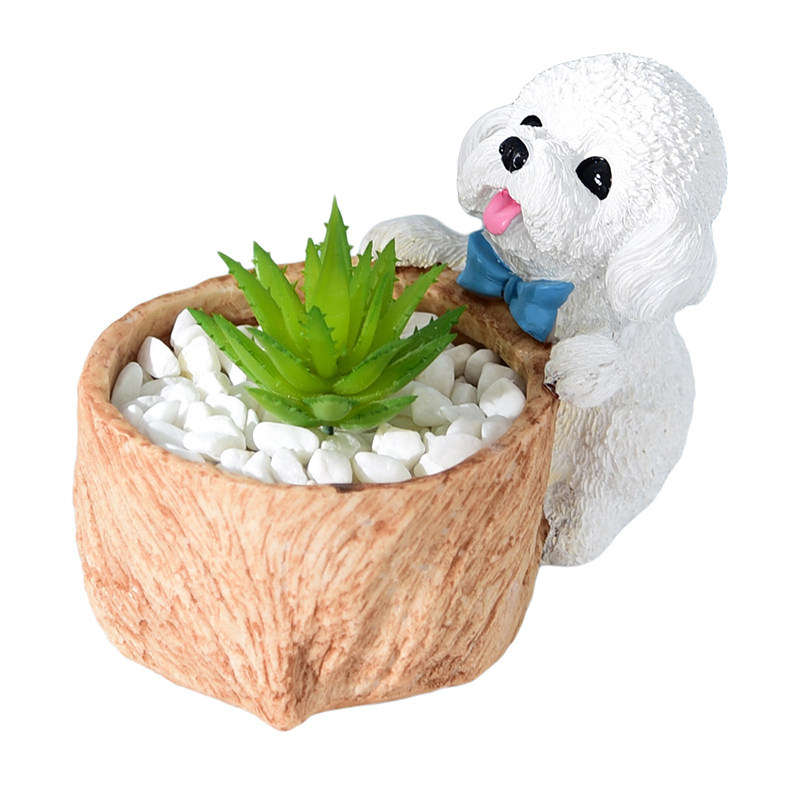 多肉植物花盆个性泰迪杂物树脂