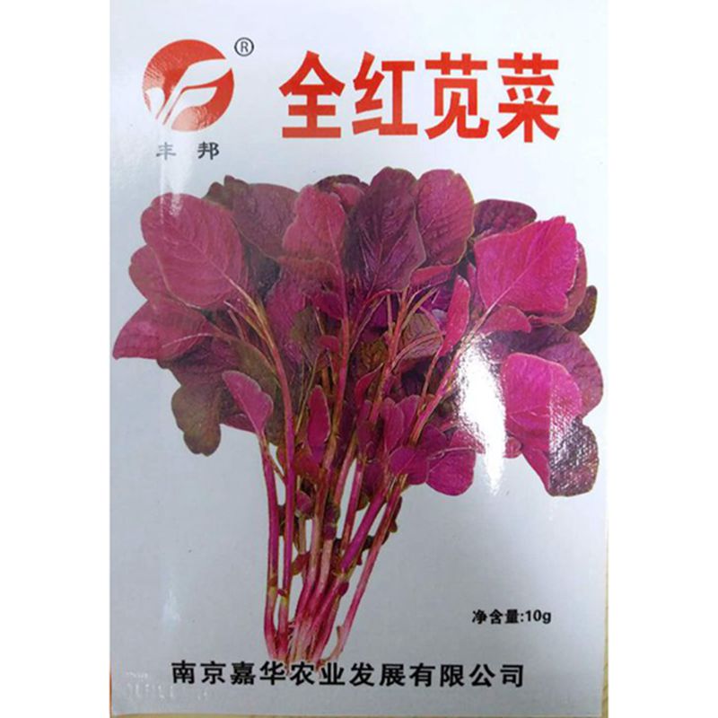 全红苋菜种子胭脂红苋菜汗菜红叶苋菜春夏秋蔬菜种籽10克3000粒